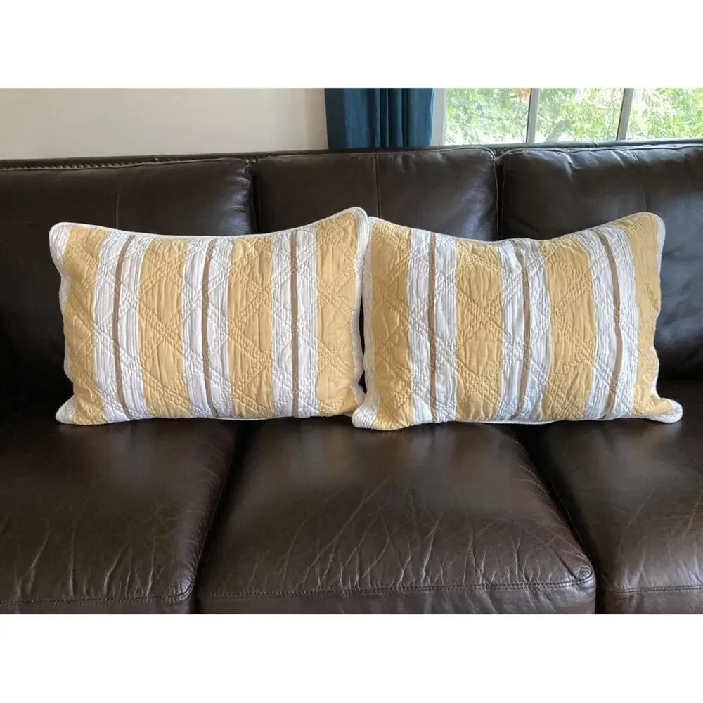 Restoration Hardware Pillow Shams Standard